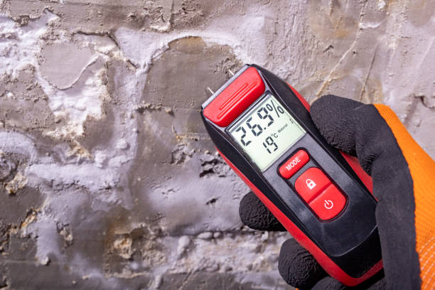 Best Basement Mold Remediation in Clarksdale, MS